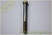 Болт M10x80x1.5  200325 7250